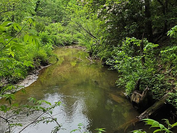 4th image of 409 Harrison Sluder Rd
