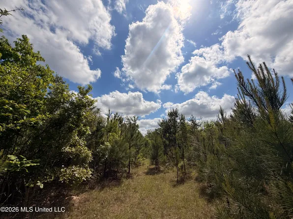 93 Hammond Rd, Monticello, MS 39654