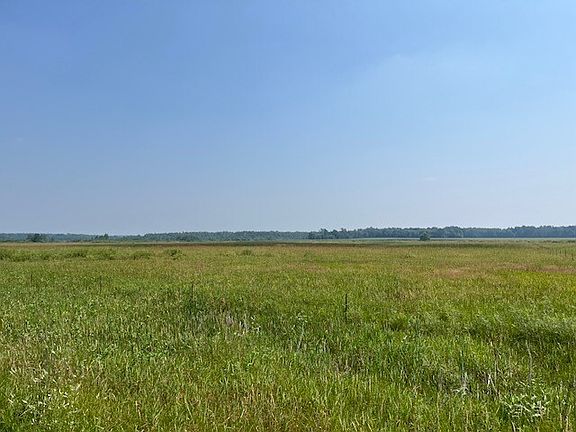 5th image of 61796 County Highway 40