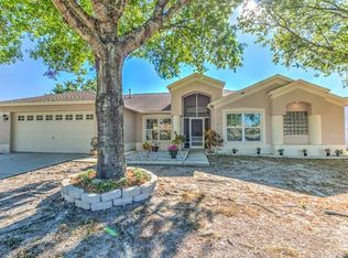 10501 Deepbrook Dr, Riverview, FL 33569