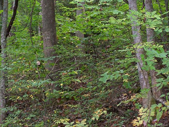 3rd image of 0 Whispering Woods Path Unit 95