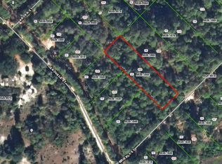 106 Brierly St, Georgetown, FL 32139