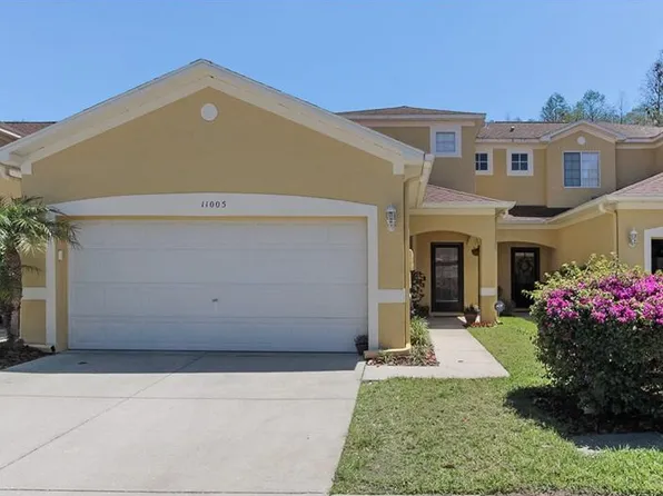 11005 Blaine Top Pl, Tampa, FL 33626