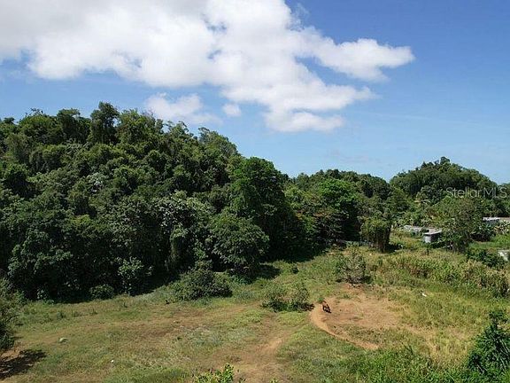 4th image of Bo Dominguito Sector