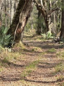 Dressen Rd, Hardeeville, SC, 29927