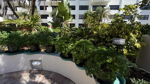 5100 N Ocean Blvd #502 — Photo 33