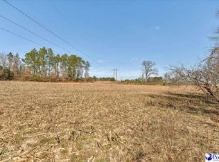 W Bobo Newsom Hwy, Hartsville, SC 29550