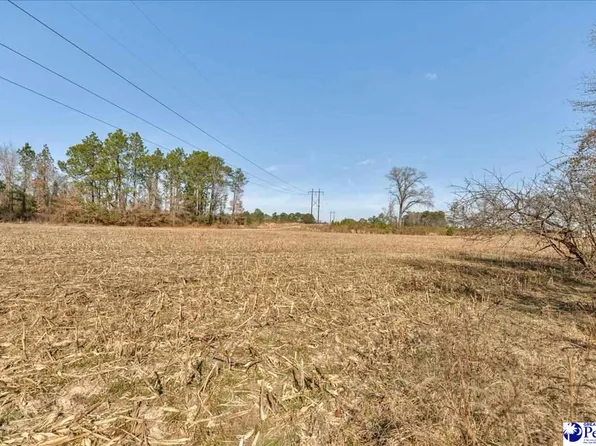 W Bobo Newsom Hwy, Hartsville, SC 29550