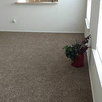 4th image of 1606 York Creek Dr