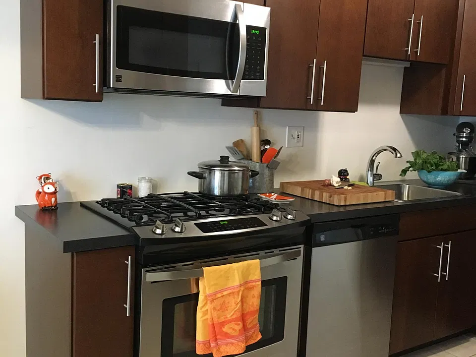 Gas convection oven