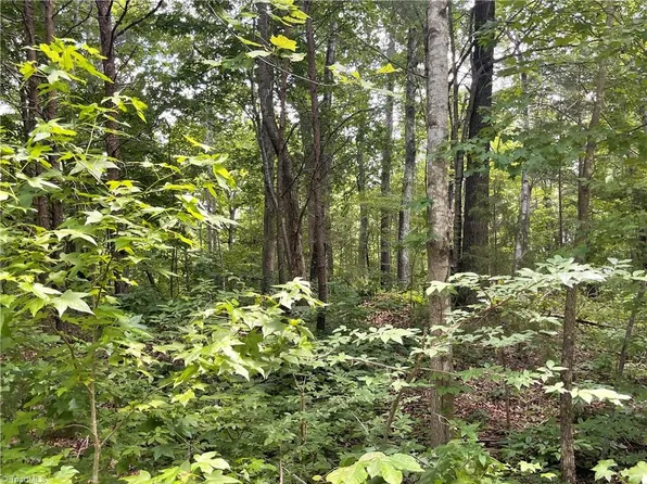 17 Old Mill Rd Lot 17, Providence, NC 27315