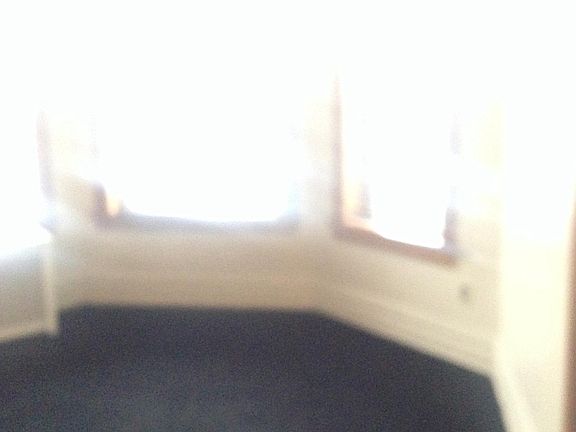 3rd image of 6539 S Evans Ave