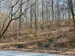 1 Chapman Hollow Rd, Elkmont, AL 35620