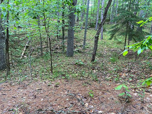 2nd image of 161 Algonquin Trl