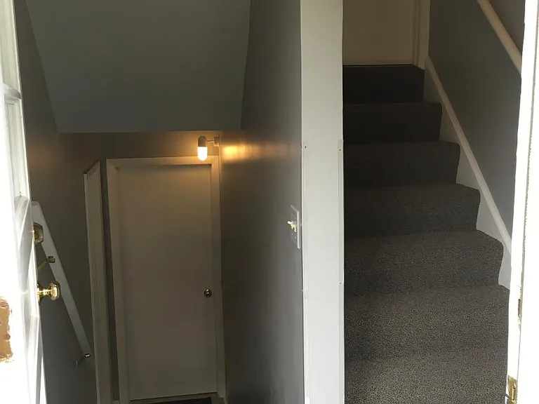 Back Door stairs