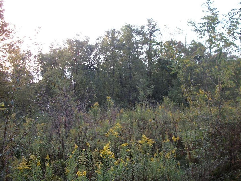 2nd image of 10100 Honda Hills Rd SE