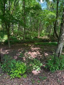 219 York Dr, Rogersville, AL, 35652