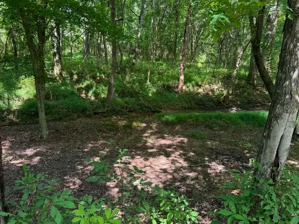 219 York Dr, Rogersville, AL 35652
