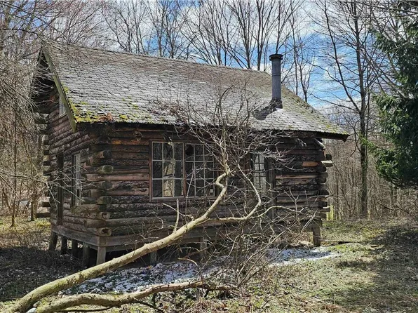 6040 Franklin Rd, Moravia, NY 13118