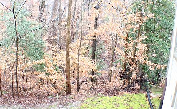 3rd image of 223 Misty Pointe Ln
