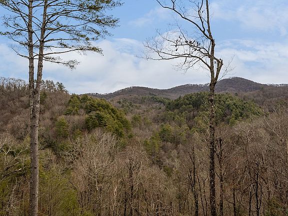 2nd image of 197 Cashes Valley Overlook
