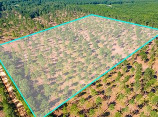 LOT 2 Bluffwood Rd, Wagener, SC 29164