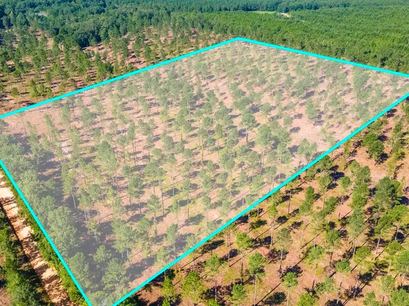 LOT 2 Bluffwood Rd, Wagener, SC 29164