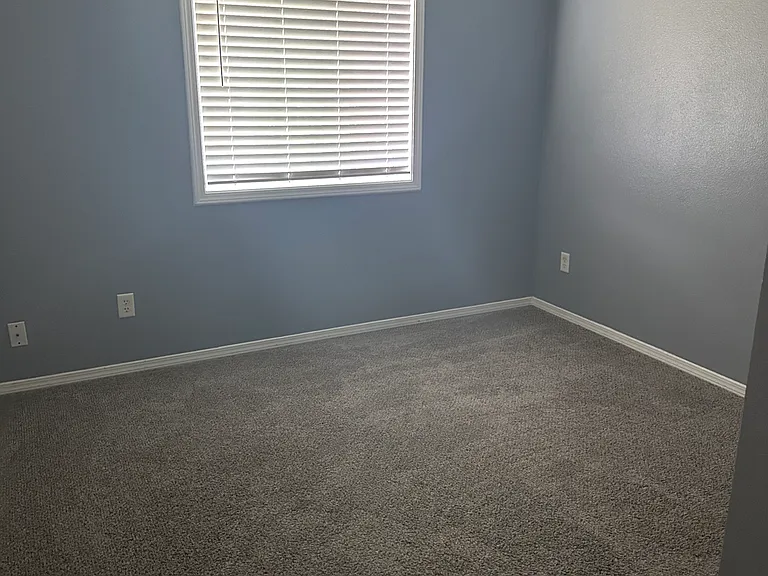 4502 Moline Ln — Photo 8