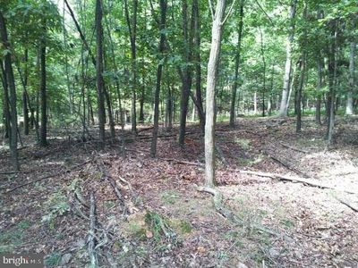 Stumpy Ln, Fort Loudon, PA, 17224