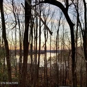 196 E Cove Dr, Greenback, TN, 37742