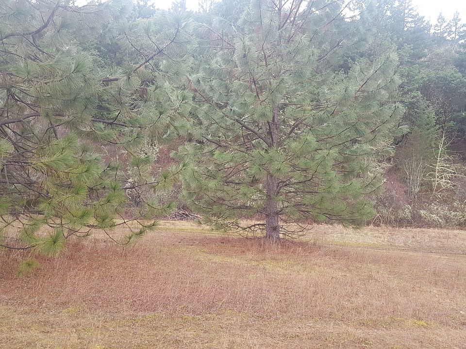 1st image of 3297 Highway 238