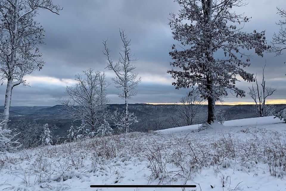 Bear Knob Ln, Crawford, TN 38554 Zillow