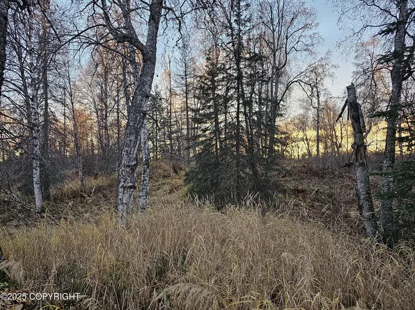 A008 Mile 117.3, Trapper Creek, AK 99683