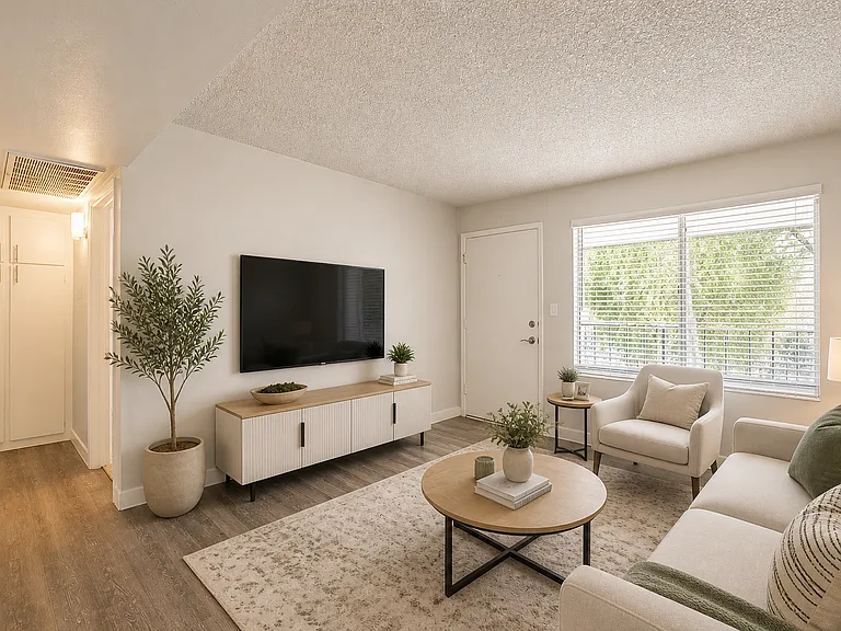 Modern minimalist living room