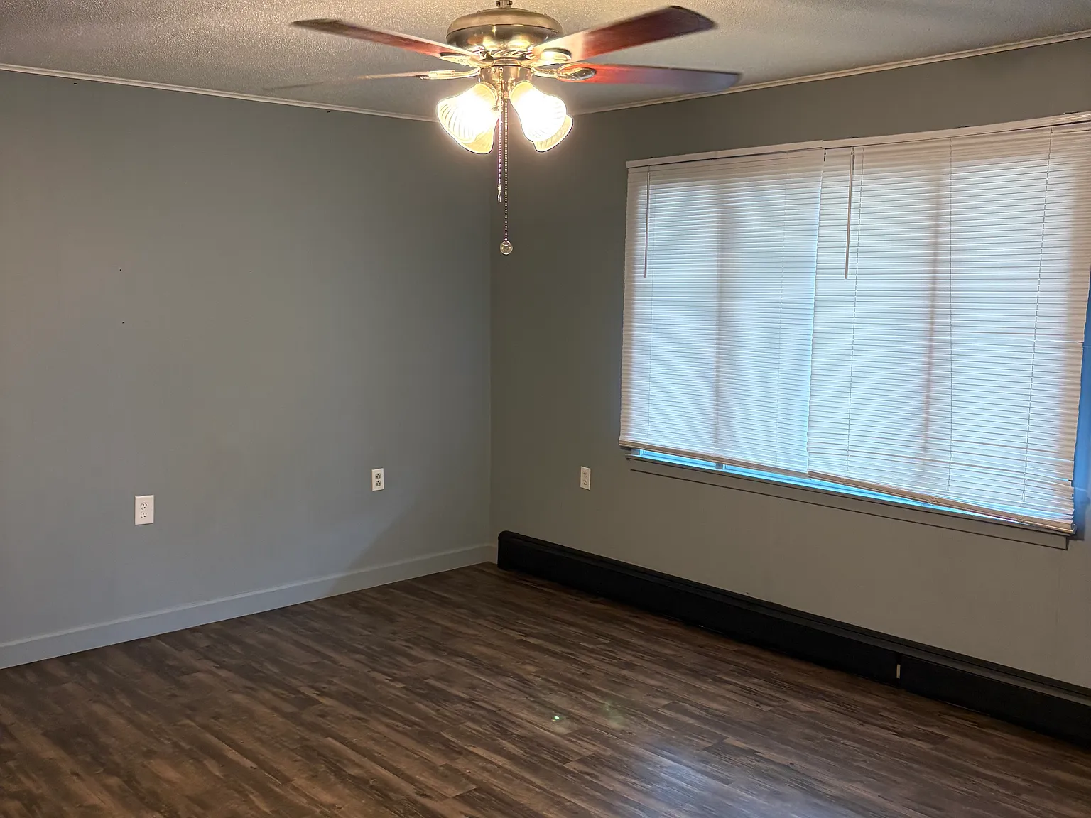 1 bed, $900 — Photo 3