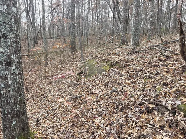 25 Down Pl, Monterey, TN 38574
