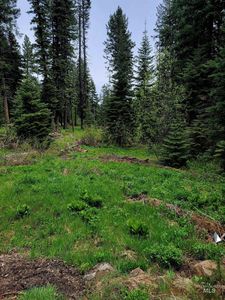 2143 Lydia Dr, Donnelly, ID, 83615