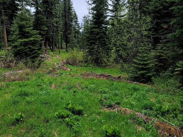 2143 Lydia Dr, Donnelly, ID 83615