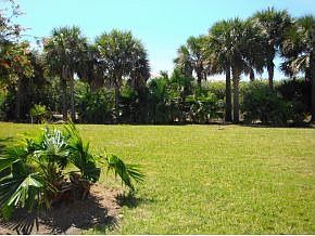 Backyard - can be fenced!!