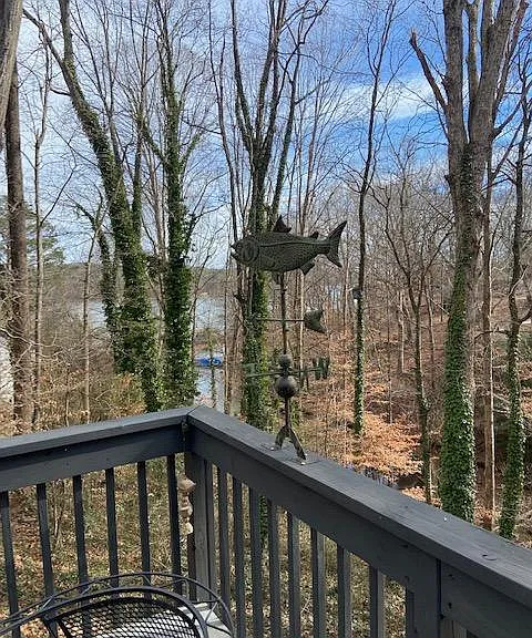 One of the decks and a nice view