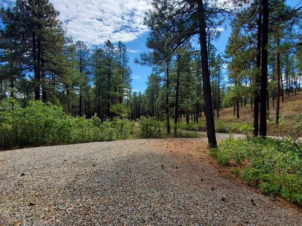 282 Pine Lane, Bayfield, CO 81122