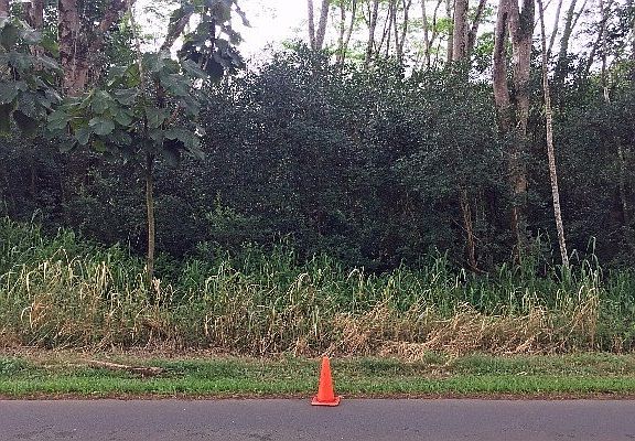3rd image of Paradise Dr Lot 402