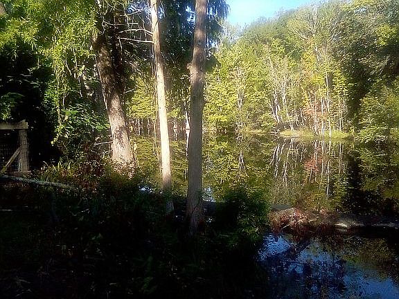 5th image of 10591 E Turtle Ln