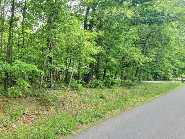 Blue Mountain Rd, Front Royal, VA 22630