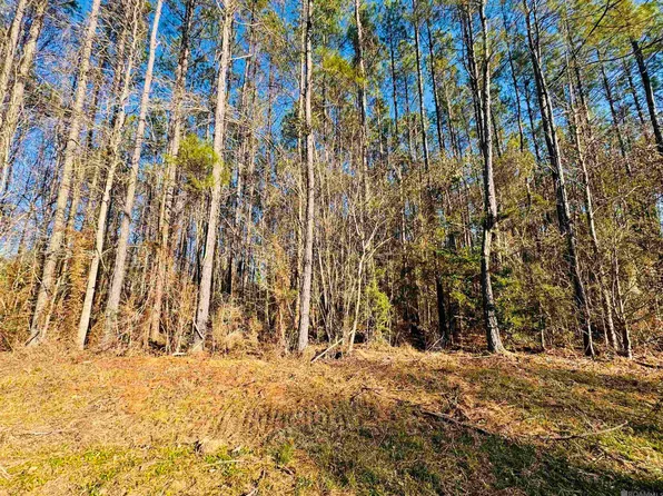 2 Highway 449, Pine Grove, LA 70453