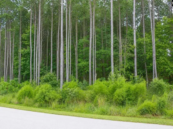 Clouds Creek Cir #94, Leesville, SC 29070
