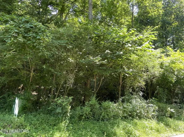 White Wing Rd, Lenoir City, TN 37771