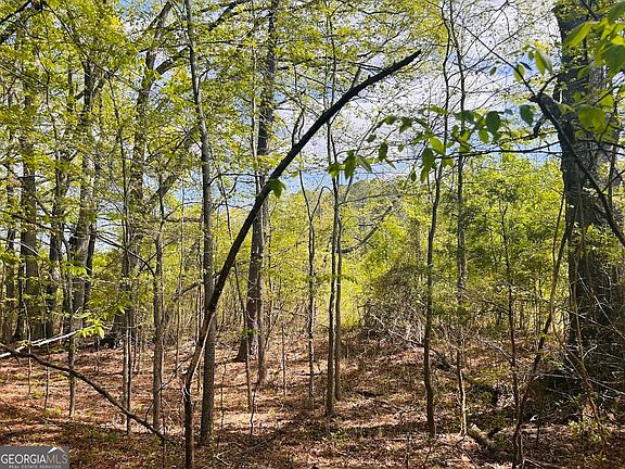 5th image of 0 Collier Rd Tract 1