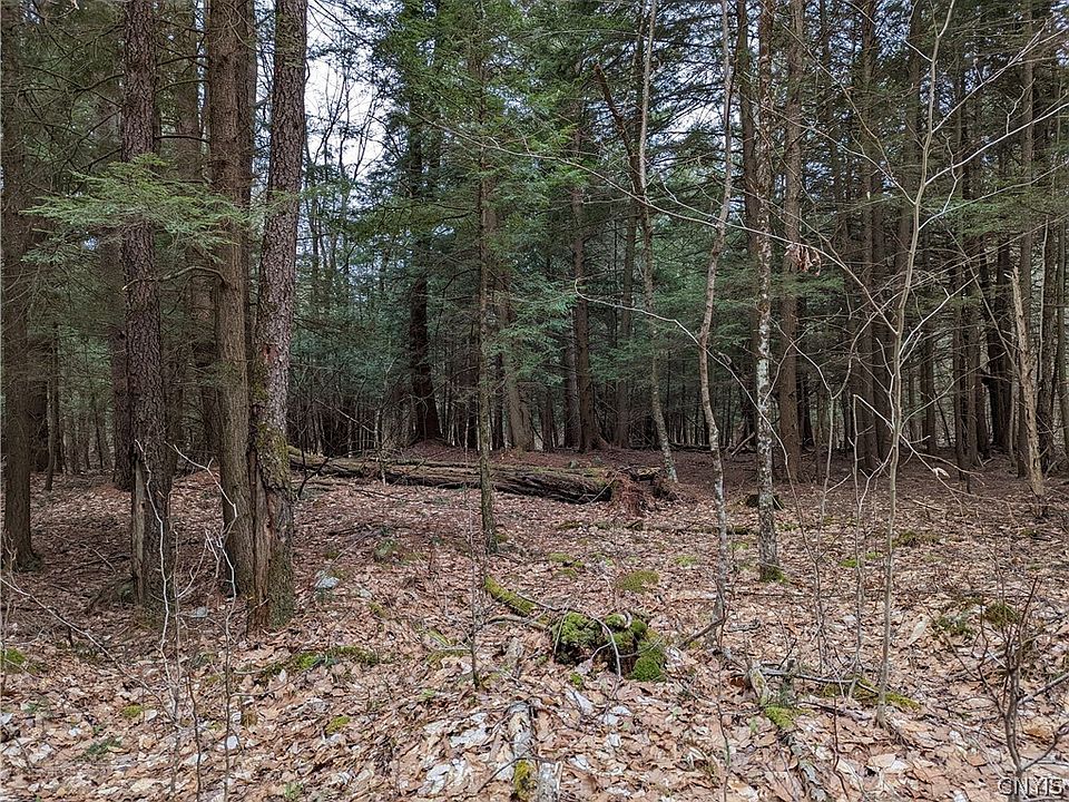 15 Cedar Ln, Glenfield, NY 13343 Zillow