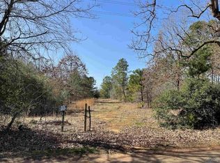 1997 Zinnia Rd, Diana, TX 75640
